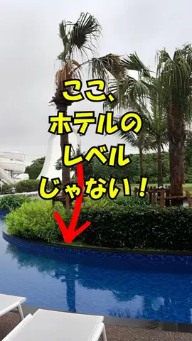 おっきー 🍍沖縄人のTikTok投稿