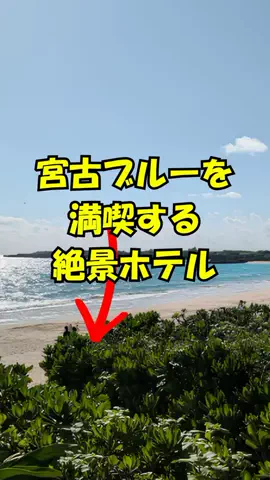 おっきー 🍍沖縄人のTikTok投稿