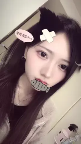 にゃんのTikTok投稿
