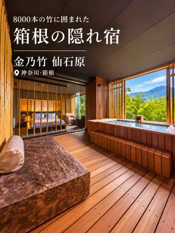 旅ナビのTikTok PR投稿：『8000本の竹に囲まれた箱根の隠れ宿』 TikTok経由で予約す…