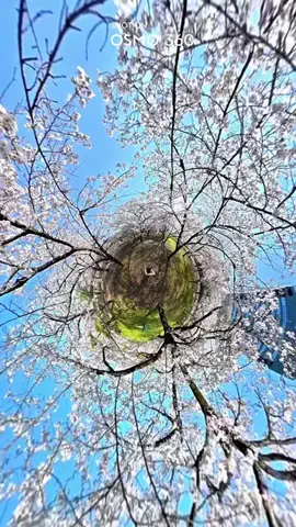 わら旅夫婦のTikTok投稿