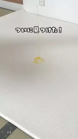 ぽんちゃん先生〻心と体を育むあそびのTikTok投稿