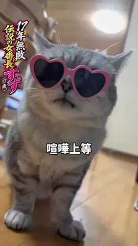 すずちゃんのTikTok投稿