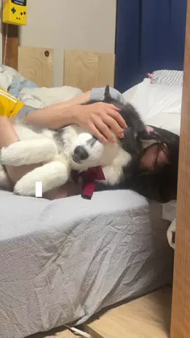 もえまつの森🌳💥のTikTok投稿