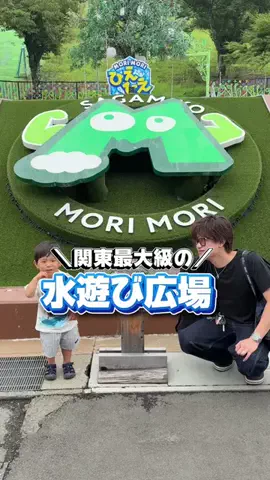 しだっくす家のTikTok投稿