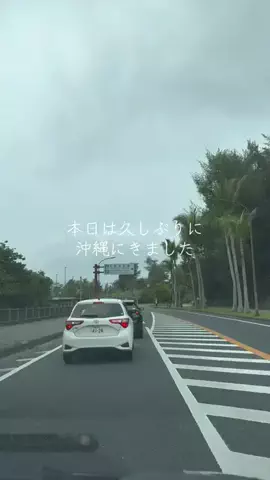 ポイ活トラベラーのTikTok投稿