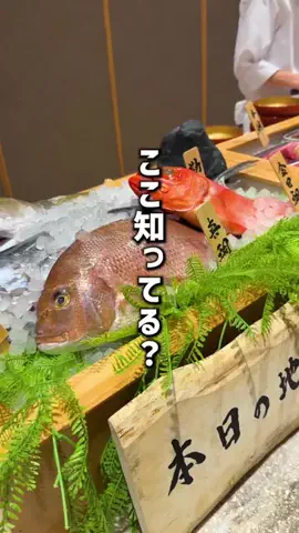 もじゃたび⌇静岡発✈︎旅行・観光・ホテルのTikTok投稿