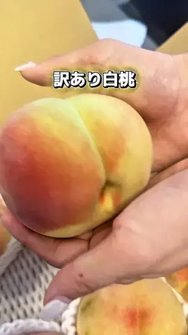 タカ|真似したくなる掃除術・便利グッズのTikTok投稿