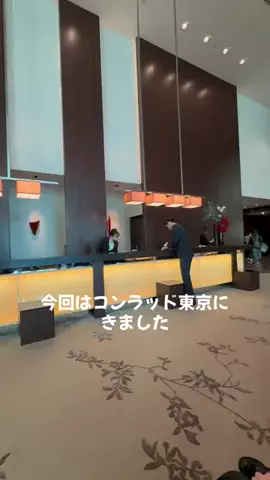 ポイ活トラベラーのTikTok投稿