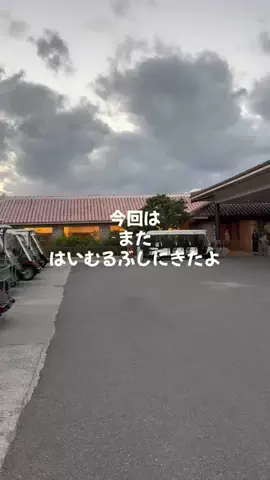 ポイ活トラベラーのTikTok投稿