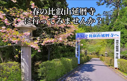 ☘️えりんこ☘️👽のTikTok投稿