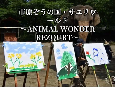 ☘️えりんこ☘️👽のTikTok投稿