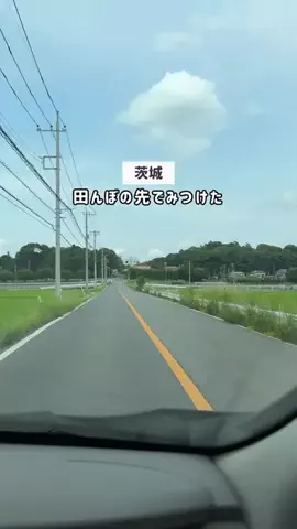 茨城ガイド📕あせこ【お出かけ・グルメ・観光・イベント】のTikTok投稿