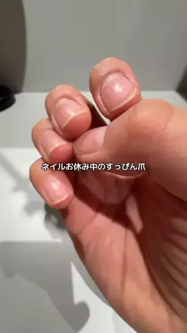 にゃんのTikTok投稿