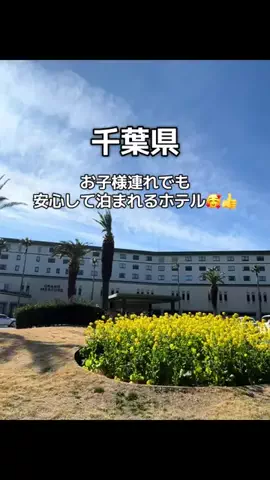 ☘️えりんこ☘️👽のTikTok投稿