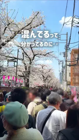 グルメ旅🐼ぱんだのTikTok投稿
