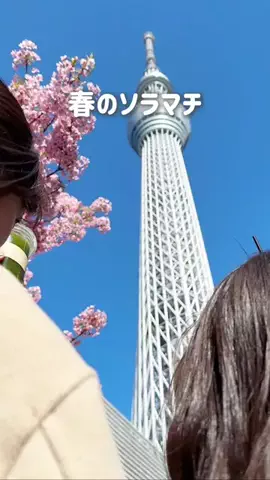 グルメ旅🐼ぱんだのTikTok投稿