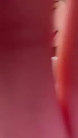 erinaのTikTok投稿