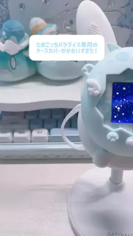真白れいのTikTok投稿