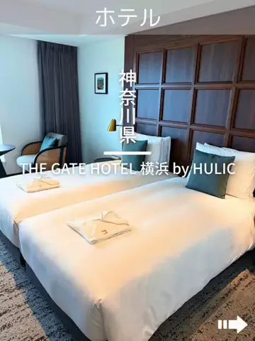 デンじょーの旅のTikTok投稿