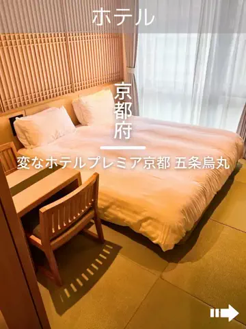 デンじょーの旅のTikTok投稿