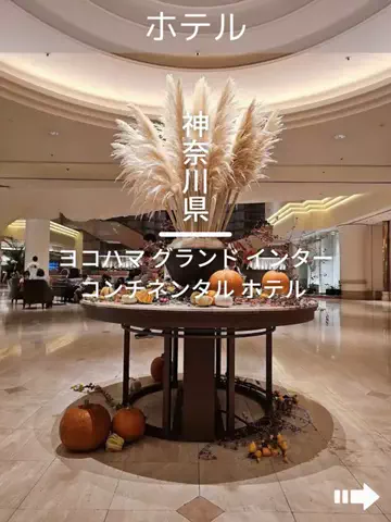 デンじょーの旅のTikTok投稿