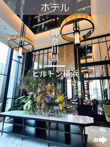 デンじょーの旅のTikTok投稿