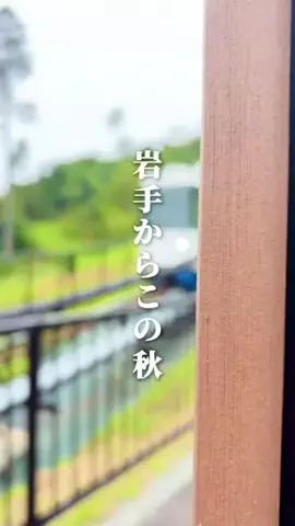 りょこたび|岩手グルメ/デート/観光のTikTok投稿