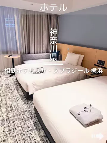 デンじょーの旅のTikTok投稿