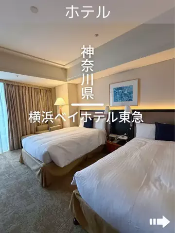 デンじょーの旅のTikTok投稿
