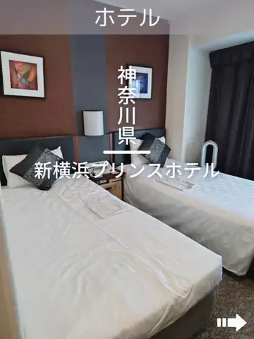 デンじょーの旅のTikTok投稿