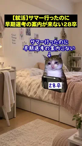 就活猫猫のTikTok投稿