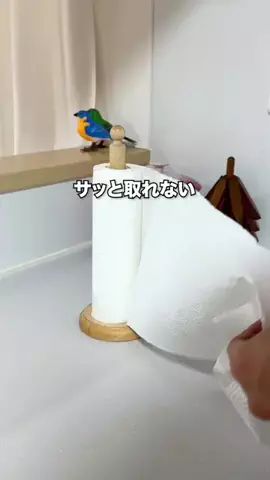 とも | 整えたいパパの収納術のTikTok投稿