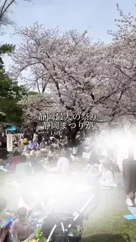 静岡グルメ／SHIZUOKA SELECTのTikTok投稿