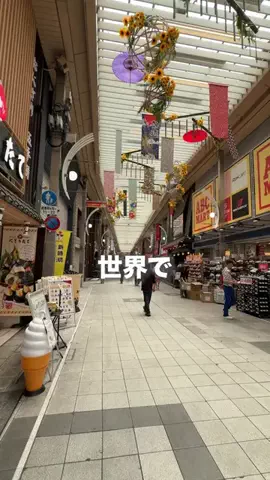 名古屋グルメ【ナゴグル】🍤のTikTok投稿