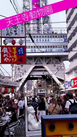 mawoのTikTok投稿