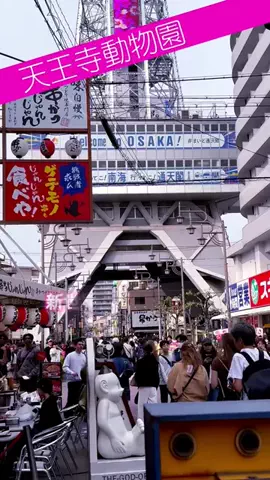 mawoのTikTok投稿