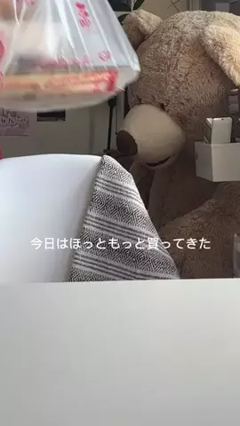 kyonのTikTok投稿