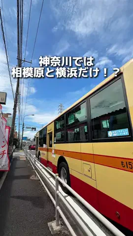 えびなびのTikTok投稿