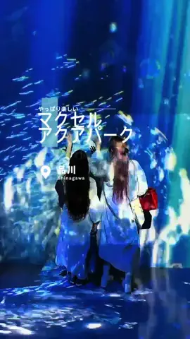 fuki_lifeのTikTok投稿