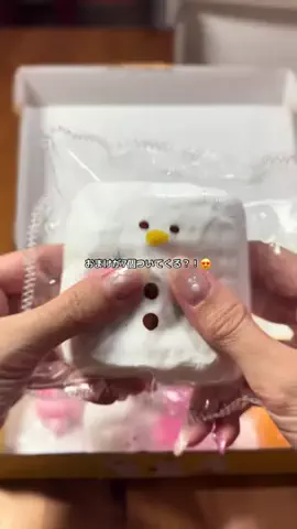 ハルとアキ🐱のTikTok投稿