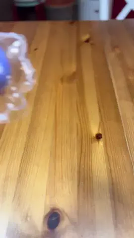 ハルとアキ🐱のTikTok投稿
