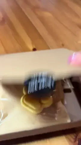 ハルとアキ🐱のTikTok投稿