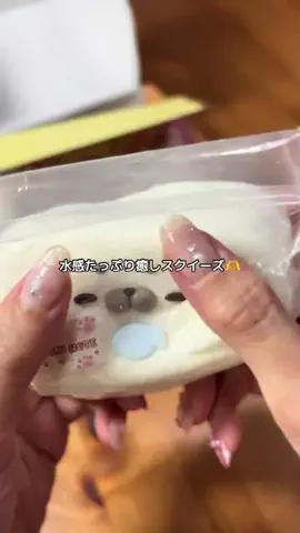 ハルとアキ🐱のTikTok投稿