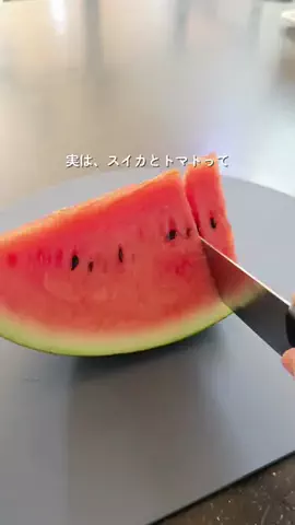 いと ⌇ ごきげんママの暮らし術のTikTok投稿