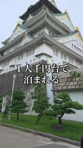 トトロのTikTok投稿