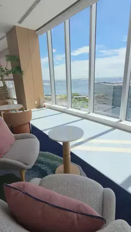 トトロのTikTok投稿