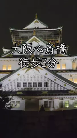 トトロのTikTok投稿