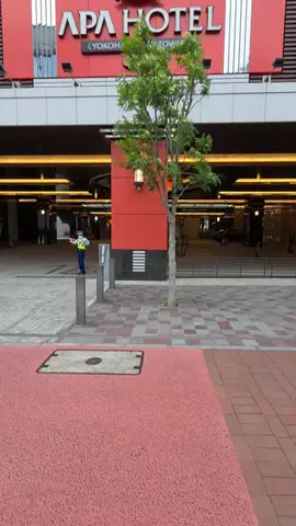 トトロのTikTok投稿