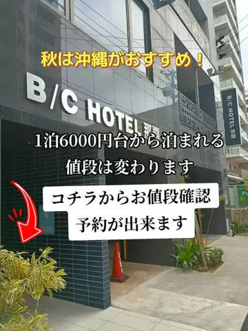 トトロのTikTok投稿